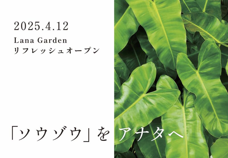 リフレッシュオープン