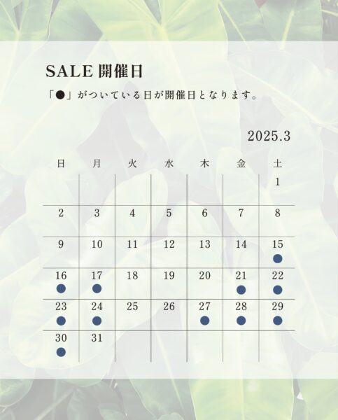 セール開催日